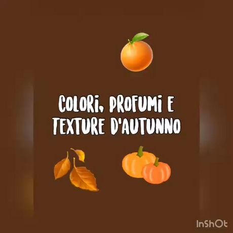 VIDEO AUTUNNO - A.S.2025-2026 - NIDO - ISTITUTO SAN VINCENZO - MONDOPICCOLO S.C.S. - FERRARA